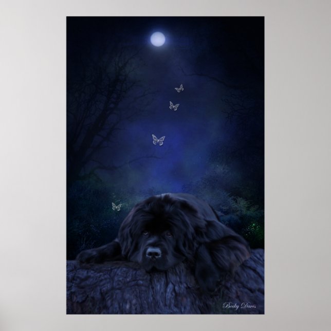 Forest Dreamer Poster (Front)