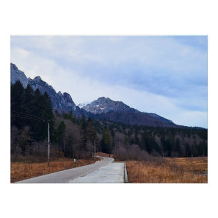 Forest Drive Scenic Landscape Wild Nature Romania Poster