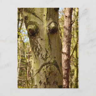 forest ent postcard