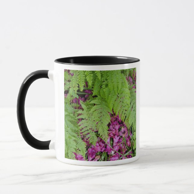 Forest ferns with pink flower petals on ground mug (Left)