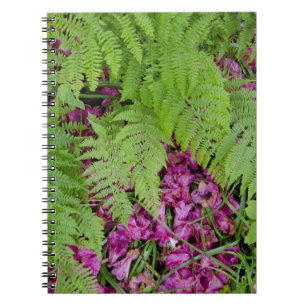 Forest ferns with pink flower petals on ground notebook