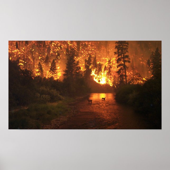 Forest Fire - Deer Poster (Front)