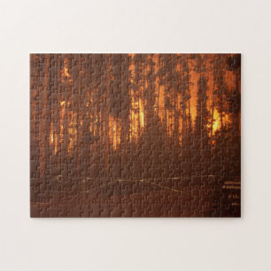 Forest Fire Jigsaw Puzzle