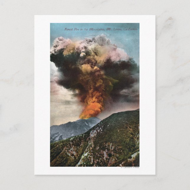 Forest Fire view in Mountains Postcard (Front)