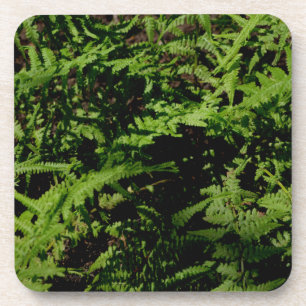 Forest Floor Ferns Coaster