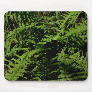 Forest Floor Ferns Mouse Mat