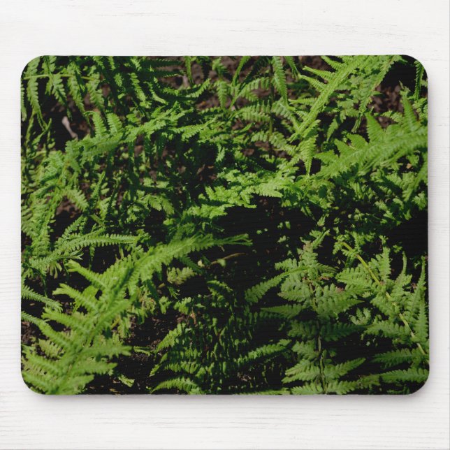 Forest Floor Ferns Mouse Mat (Front)