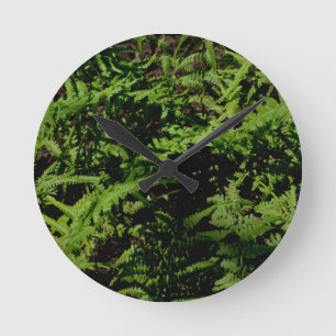 Forest Floor Ferns Round Clock