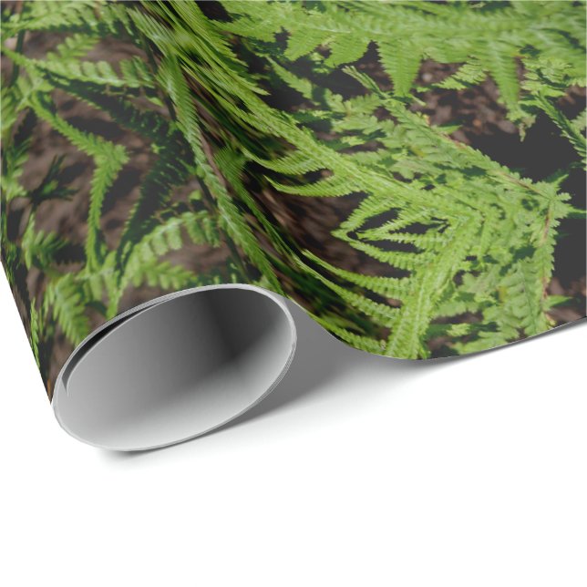 Forest Floor Ferns Wrapping Paper (Roll Corner)