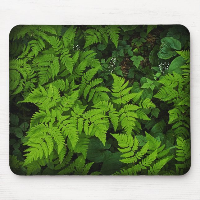 Forest Floor Mousepad (Front)