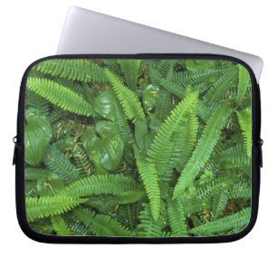 Forest Floor, Quinault Rain Forest, Olympic NP, Laptop Sleeve