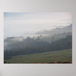 Forest fog Pieniny Poster