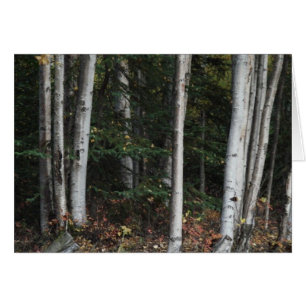 Forest for the Trees by Logan Guinn