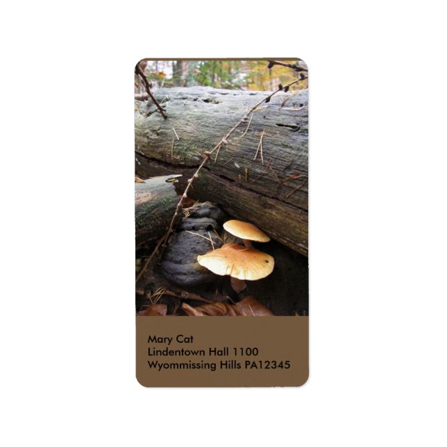 Forest Fungi  #3 Label (Front)