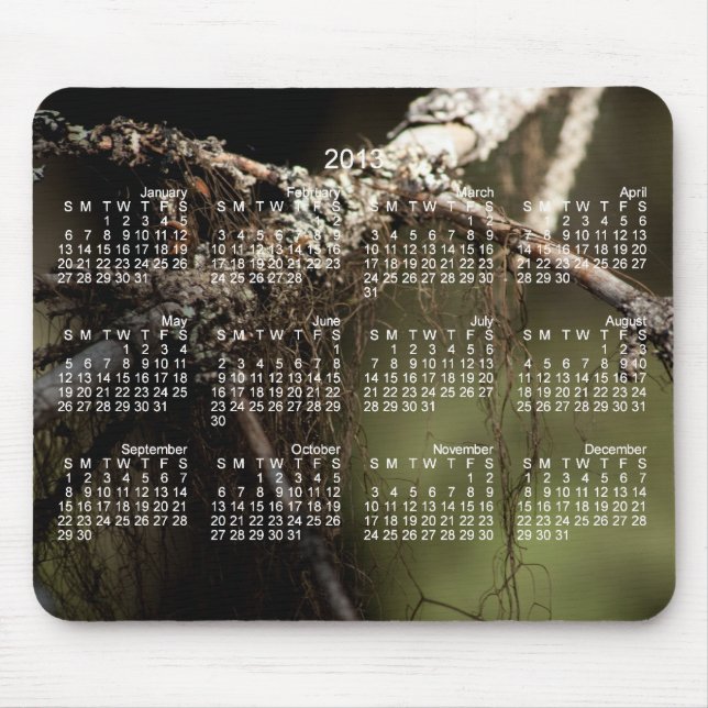 Forest Fuzz; 2013 Calendar Mouse Mat (Front)