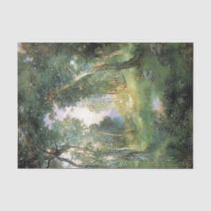 Forest Glade, Santa Barbara, California (Woodland) Tissue Paper