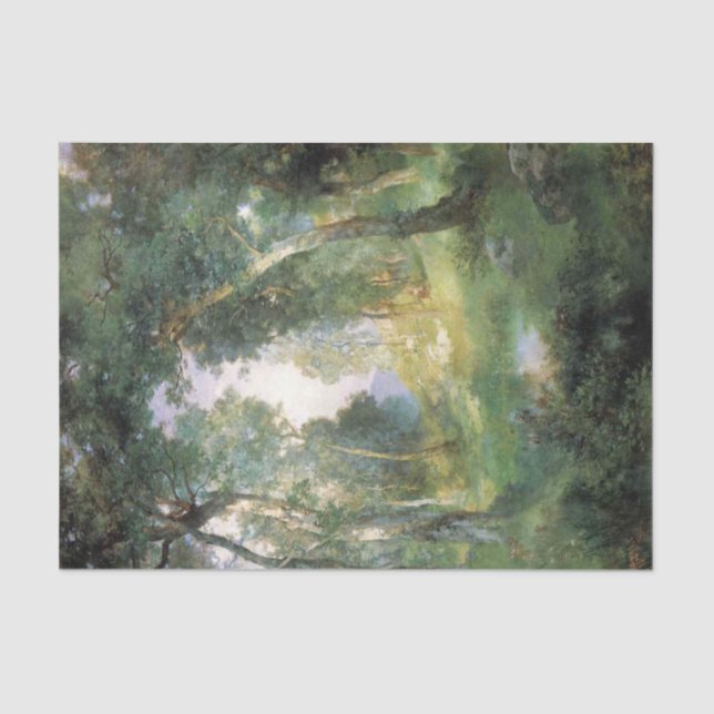 Forest Glade, Santa Barbara, California (Woodland) Tissue Paper (Front)