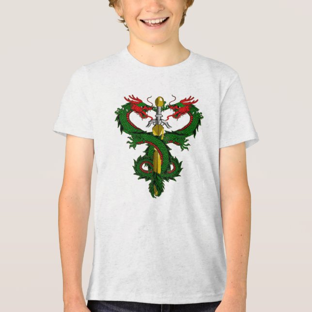 Forest Guardian Dragon Blade Tri-Blend Shirt (Front)