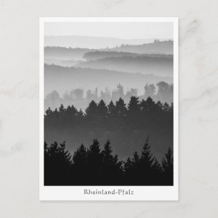 Forest Hills Landscape Photo Postcard