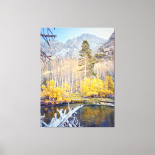 Forest in Autumn  Canvas Print