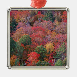 Forest in autumn with fall foliage.  Algonquin Metal Tree Decoration