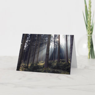 Forest in Bavaria Card