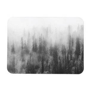 Forest in Fog Magnet