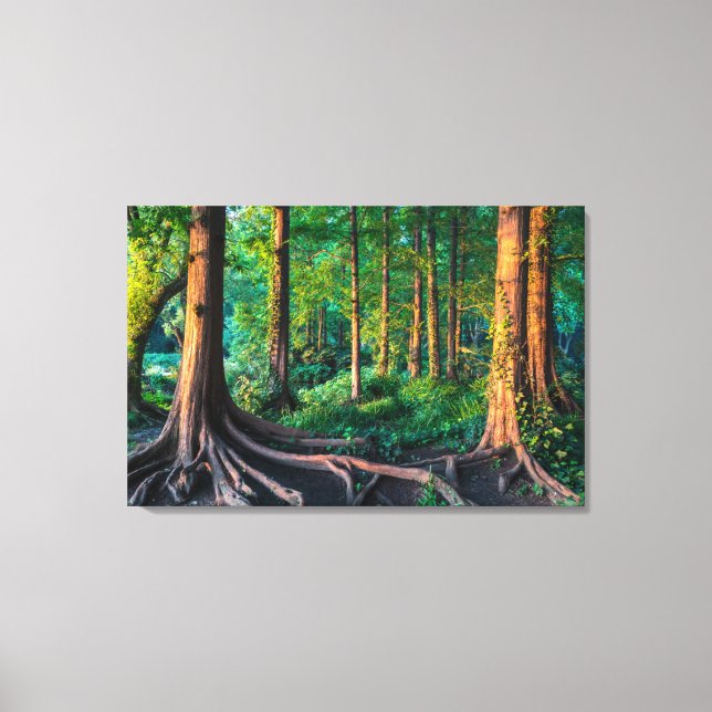 Forest in Summer Canvas Print (Front)