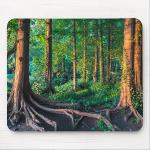 Forest in Summer Mouse Mat