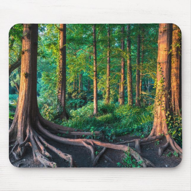 Forest in Summer Mouse Mat (Front)