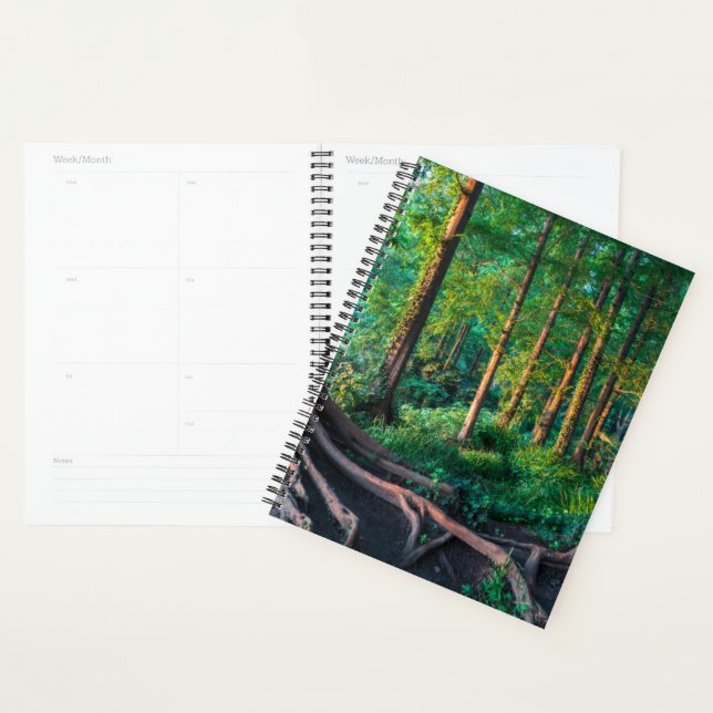 Forest in Summer Planner (Display)