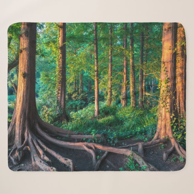Forest in Summer Sherpa Blanket (Front (Horizontal))
