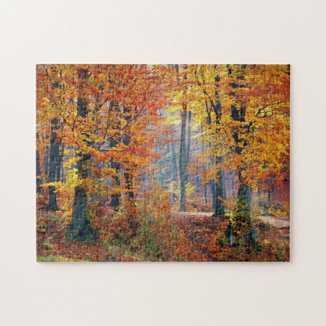 Forest in the Fall Jigsaw Puzzle (Horizontal)