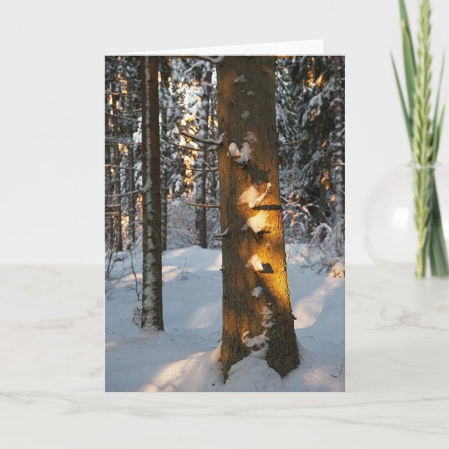 Forest in the winter holiday card (Front)