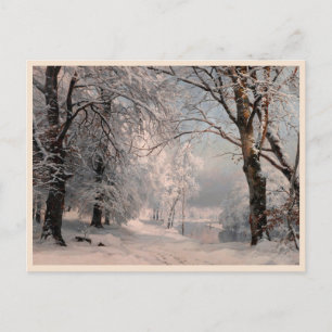 Forest In Winter Postcard