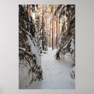 Forest in winter poster