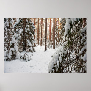 Forest in winter poster