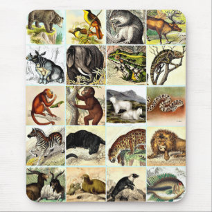 Forest, Jungle And Ocean Animal Collage sheet Art Mouse Mat