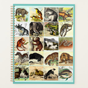 Forest, Jungle And Ocean Animal Collage sheet Art Planner