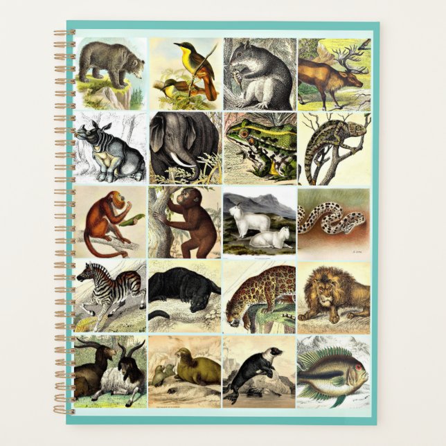 Forest, Jungle And Ocean Animal Collage sheet Art  Planner (Front)