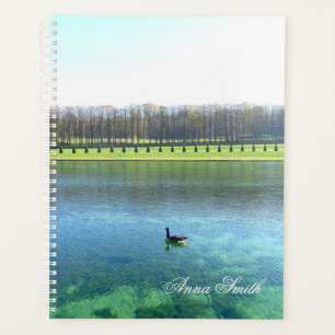 Forest Lake. Goose on water. Planner