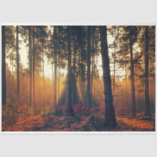 Forest Landscape 18 Decoupage Tissue Paper