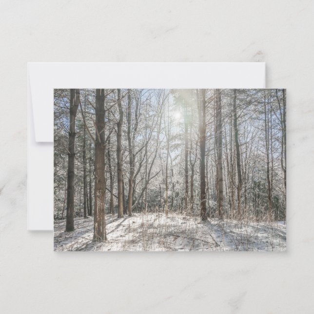 Forest landscape greeting card (Front)