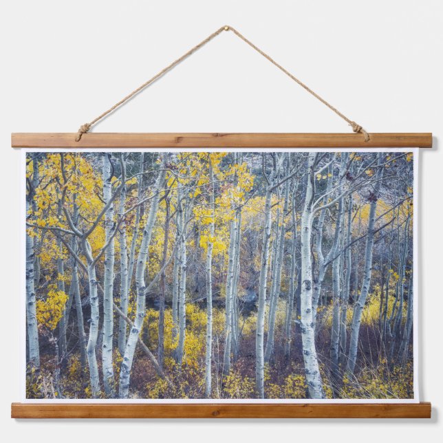 Forest Landscape in Golden Autumn Foliage Hanging Tapestry (Front)