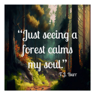 Forest Landscape Poster