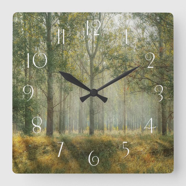 Forest Landscape Square Wall Clock (Front)