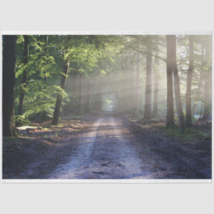 Forest Landscape Trail 24 Decoupage Tissue Paper