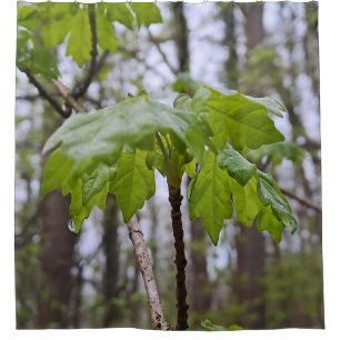 Forest Leaves After Rain – Wild Nature Romania Shower Curtain