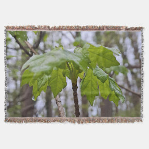 Forest Leaves After Rain – Wild Nature Romania Throw Blanket