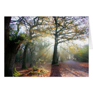 Forest Light Card